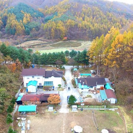 Pinearoma Pension Hongcheon Dış mekan fotoğraf