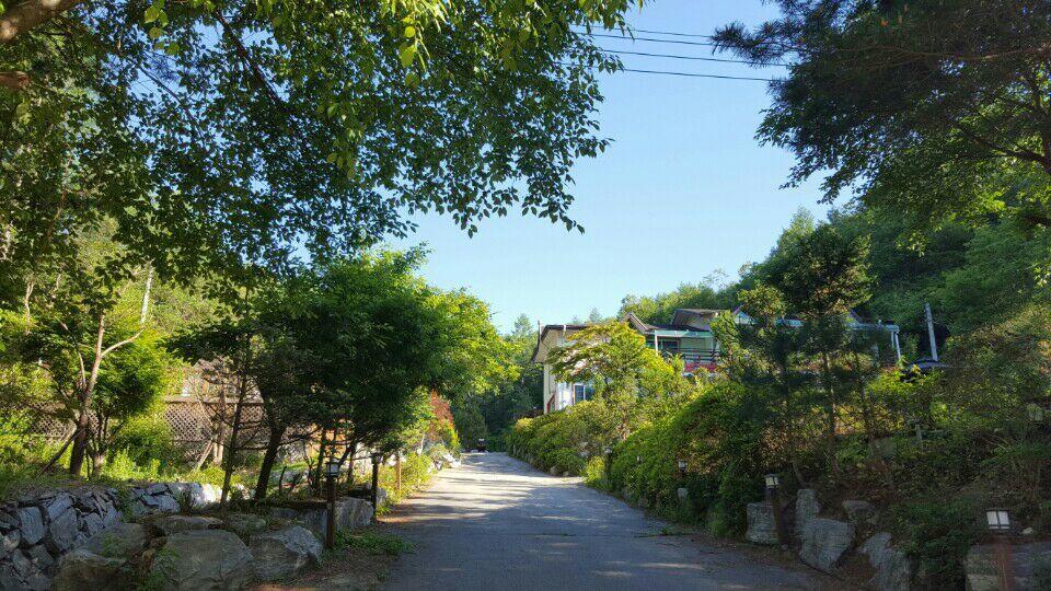 Pinearoma Pension Hongcheon Dış mekan fotoğraf