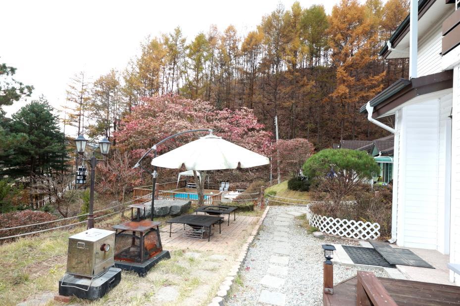 Pinearoma Pension Hongcheon Dış mekan fotoğraf